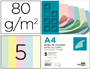 PAPEL COLOR LIDERPAPEL A4 80GR 5 COLORES SURTIDOS PAQUETE DE 500 HOJAS